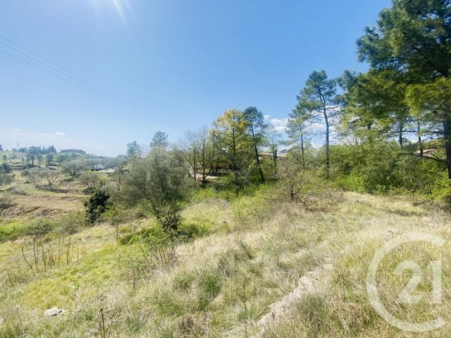 terrain à vendre - 4282.0 m2 - VINEZAC - 07 - RHONE-ALPES - Century 21 Agence Nogier