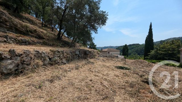 terrain - UCEL - 07