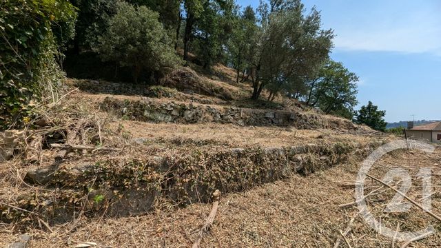 terrain à vendre - 2275.0 m2 - UCEL - 07 - RHONE-ALPES - Century 21 Agence Nogier