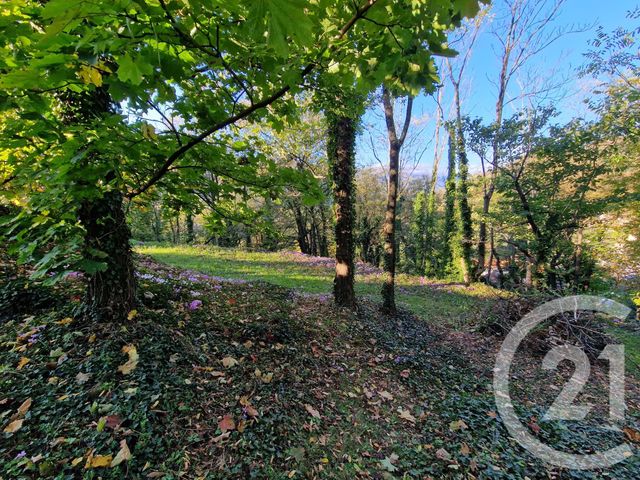 maison à vendre - 7 pièces - 283.0 m2 - THUEYTS - 07 - RHONE-ALPES - Century 21 Agence Nogier