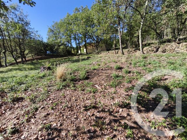 terrain à vendre - 1205.0 m2 - MERCUER - 07 - RHONE-ALPES - Century 21 Agence Nogier