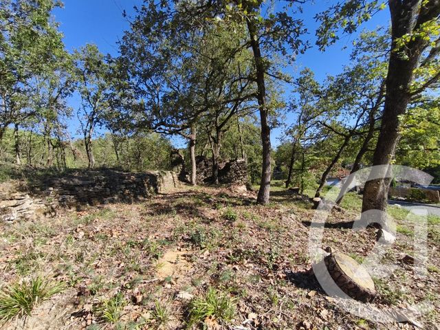 terrain à vendre - 1572.0 m2 - MERCUER - 07 - RHONE-ALPES - Century 21 Agence Nogier